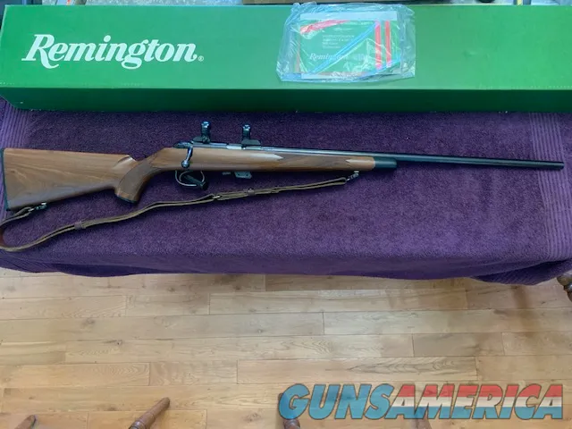 Remington 541T