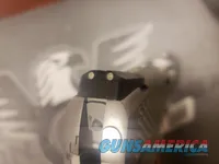 Kimber Stainless Ultra Raptor .45