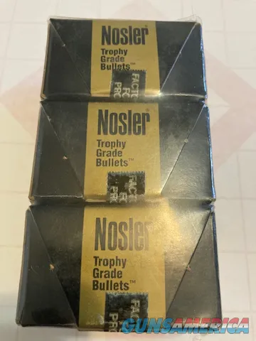 Nosler Other  Img-2