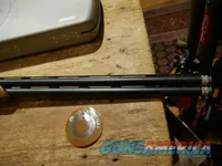 Beretta 694 Sporting Vittoria 12ga 30" Womens!