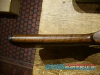 Beretta 694 Sporting Vittoria 12ga 30" Womens!