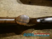 Beretta 694 Sporting Vittoria 12ga 30" Womens!