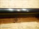 Webley & Scott Model 712 12ga 28"