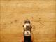 Smith & Wesson 1006 California Highway Patrol 10mm