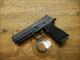 Sig Sauer P320 XTEN 10mm **Just In!**