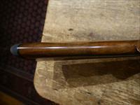 Caesar Guerini Woodlander Dove Special 20ga 28"