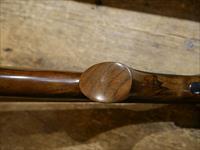 Caesar Guerini Woodlander Dove Special 20ga 28"