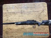 Springfield Waypoint 6.5 PRC CF Ridge