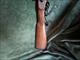 Thompson Center Renegade .54 Caliber black powder percussion rifle.