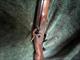 Thompson Center Renegade .54 Caliber black powder percussion rifle.