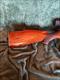 Steyr Mannlicher Model SL in 222 Rem Mag. Made in Austria With USA  Redfield 4X12 Scope 