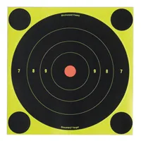 Birchwood Casey Shoot-N-C Targets 34550