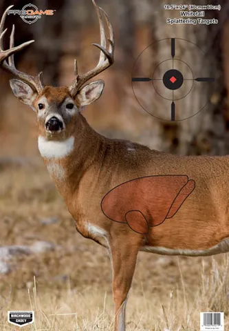 Birchwood Casey Pregame Whitetail Deer Target 35401