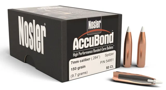 Nosler AccuBond 54951