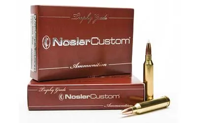 Nosler Nosler Custom Trophy Grade 60042