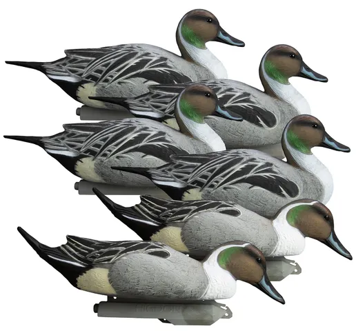 Iota Outdoors Higdon Outdoors 16544 Battleship Pintail Pintail Species Multi Color Foam Filled 6 Pack