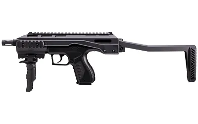 RWS TAC BB Carbine 2254824