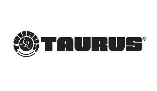 Taurus TAUR RAGING HNTR 460 10.5" BK PST