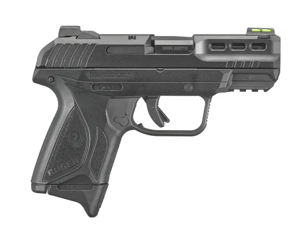 Ruger Security-380 3839