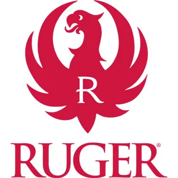 Ruger RUG SECURITY 380 B/GLD 10/15 T