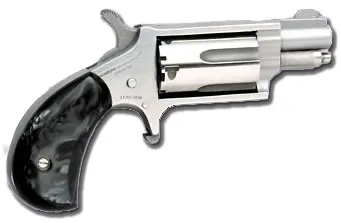 North American Arms Mini-Revolver NAA-22MS-GP-B