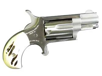 North American Arms Mini Revolver NAA-22LRGSTG