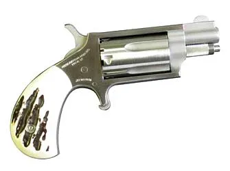 North American Arms Mini Revolver NAA-22MSGSTG