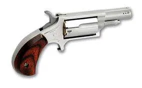 North American Arms 22 Magnum Ported 22MP