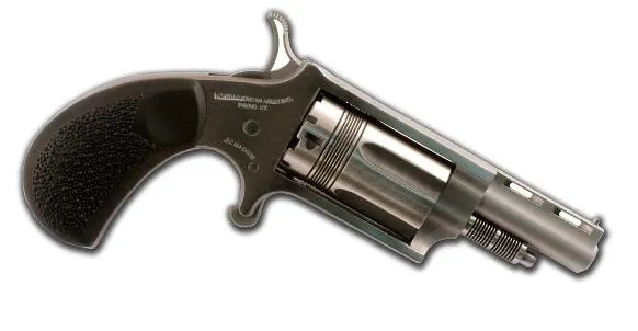 North American Arms 22 Magnum The Wasp 22MTW