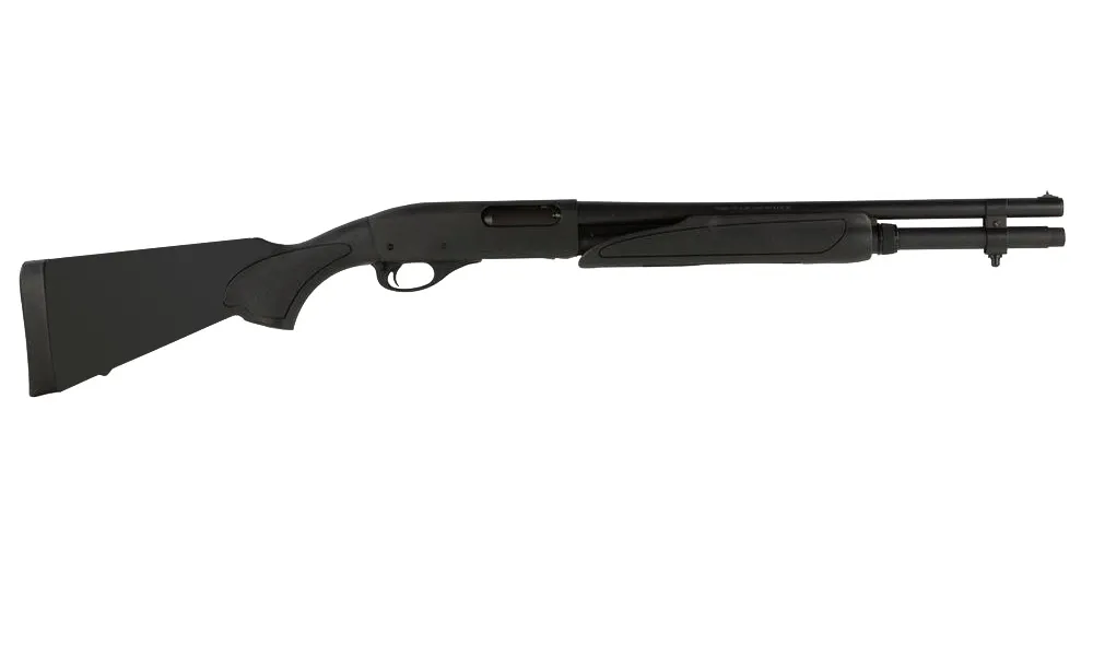 Remington REM R81100 for sale at Gunsamerica.com: 939976790